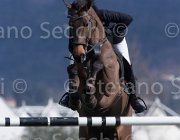 Wriering World Wide TosTour2013- S5 2769 : Arezzo, Arezzo Equestrian Centre, Toscana Tour 2013, Wiering Harrie, World wide, foto di Stefano Secchi ©